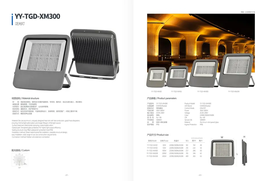 LED Flood Light YY-TGD-80200 outdoor lighting product detail